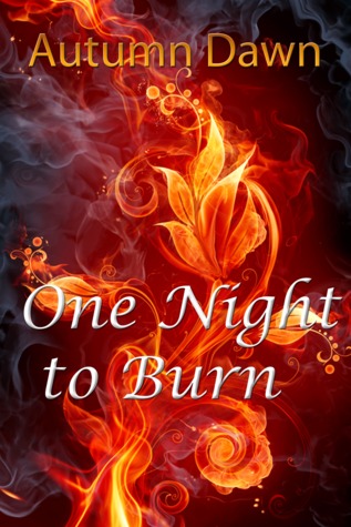 One Night to Burn (Fire, Stone & Water, #1)