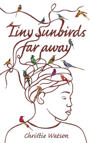 Tiny Sunbirds, Far Away
