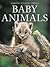 Baby Animals
