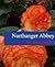 Northanger Abbey