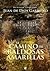El camino de baldosas amarillas by Juan de Dios Garduño