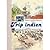 Trip Indien: De l'Inde des hippies à la création de MSF