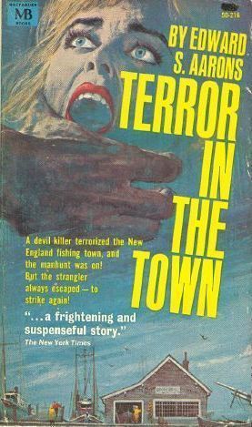 Terror in the Town (Paperback)