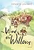 The Wind in the Willows (Vintage Children's Classics)