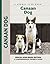 Canaan Dog by Joy Levine