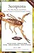 Scorpions by Jerry G. Walls