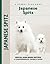 Japanese Spitz