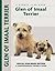 Glen of Imaal Terrier by Mary Brytowski