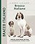 Bracco Italiano: Special Rare-Breed Edition : A Comprehensive Owner's Guide
