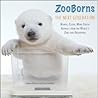 ZooBorns The Next Generation by Andrew Bleiman