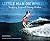 LITTLE MAN ON WHEELS: Surfi...