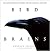 Bird Brains: The intelligence of crows, ravens, magpies, and jays