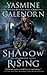 Shadow Rising (Otherworld / Sisters of the Moon #12)
