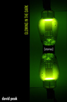 Glowing in the Dark (Paperback)