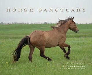 Horse Sanctuary (Hardcover)