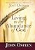 Living in the Abundance of God