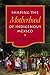 Shaping the Motherhood of Indigenous Mexico