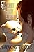 Secret Teddy Society: Breaking The Code