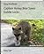 Captain Honey Bear Saves Goldie Locks by Tracy Kauffman