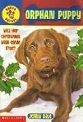 Orphan Puppy