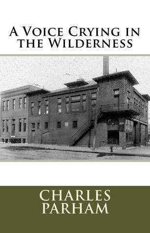 A Voice Crying in the Wilderness (Paperback)