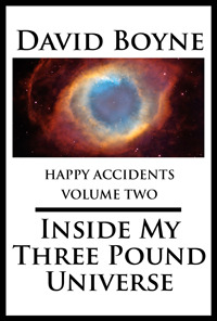 Inside My 3 Pound Universe