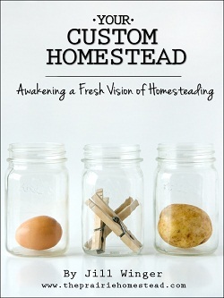 Your Custom Homestead: Awakening A Fresh Vision of Homesteading