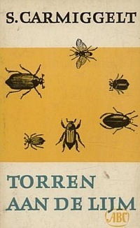 Torren aan de lijm (Paperback)
