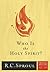 Who Is The Holy Spirit?