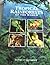 Tropical Rainforests of the...