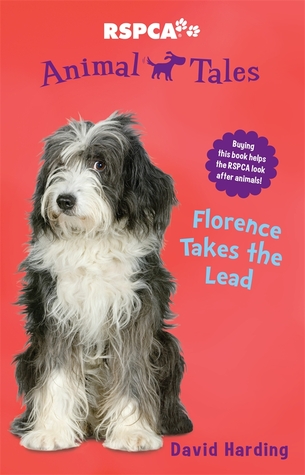 Florence takes the Lead (ebook)