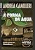 A forma da água