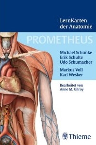 Prometheus Lernkarten der Anatomie