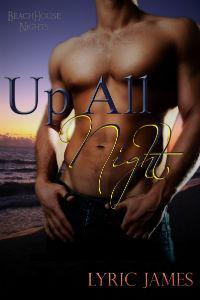 Up All Night  (Beach House Nights book #3)