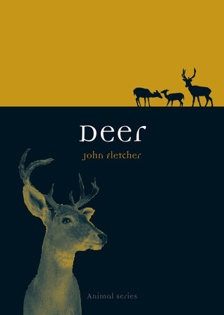 Deer (Animal)