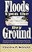 Floods Upon the Dry Ground: Giving Foundation and Understanding to the Progressive Move of the Holy Spirit in the Earth