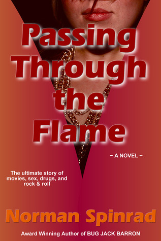 Passing through the Flame (Hardcover)