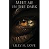 Meet Me in the Dark by Lilly M. Love
