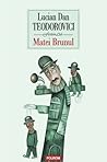 Matei Brunul by Lucian Dan Teodorovici