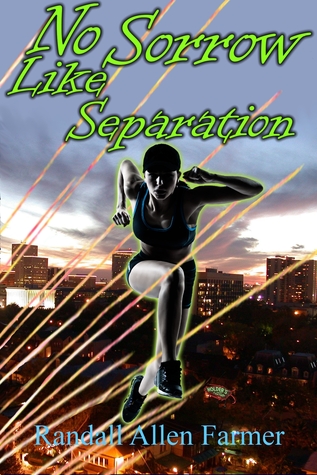No Sorrow Like Separation (The Commander, #5)