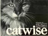 Catwise (Paperback)