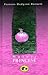 Mažoji princesė by Frances Hodgson Burnett