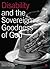 Disability and the Sovereign Goodness of God