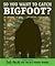 So You Want to Catch Bigfoot?