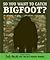 So You Want to Catch Bigfoot?