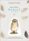 Wesley il gufo