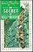 The Secret of Killimooin by Enid Blyton