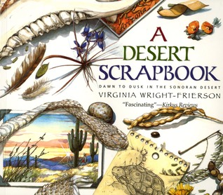 A Desert Scrapbook: Dawn to Dusk in the Sonoran Desert (Paperback)