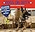 Dogs on Duty: Soldiers' Best Friends on the Battlefield and Beyond