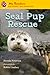 Seal Pup Rescue